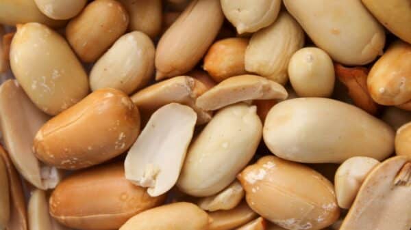 a pile of nuts sitting next to each other